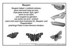 Raupen-Igitt-SW.pdf